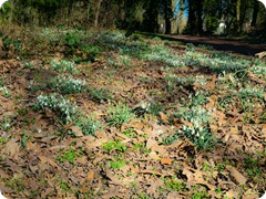 P1085039