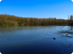 P1085065