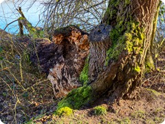 P1085066