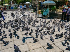 image100