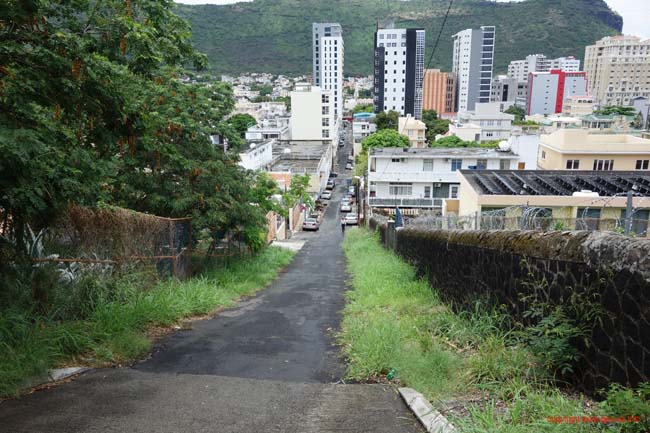 DSC03141