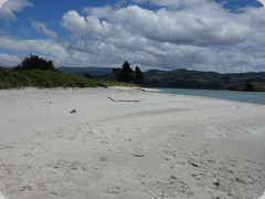 DSC03134