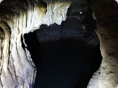 DSC03481