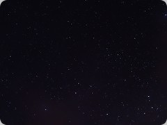 DSC03817