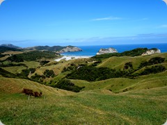 DSC04059