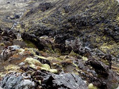 DSC04368
