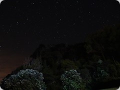 DSC04566