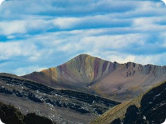 image1105