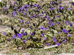 image288