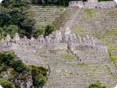 image910