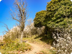 P1085178