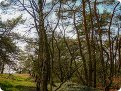 P1085226
