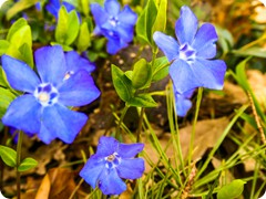 P1085229