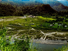 P1011194