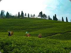 P1011377