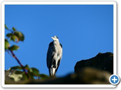 P1084759