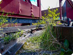 P1085277