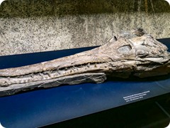 P1085342