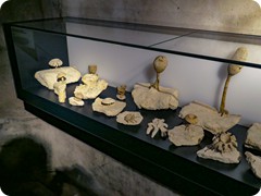 P1085348