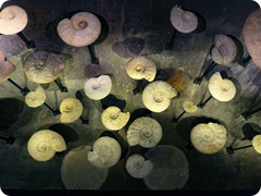 P1085350