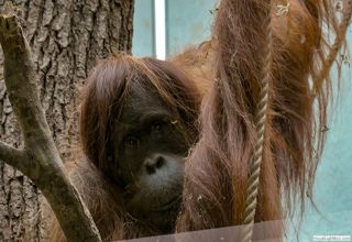 Besuch im Zoo Wuppertal