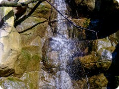 P1084931