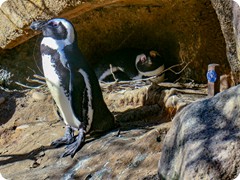 P1084951