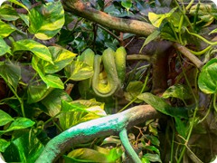 P1084962