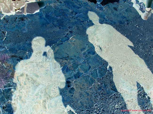 Ridgetop Tour Bild 51