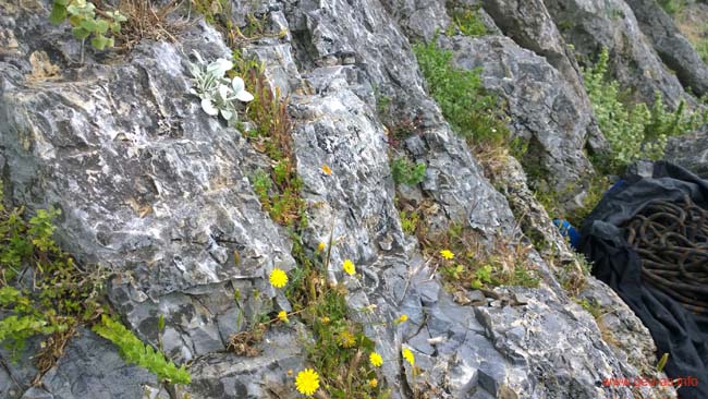 WP_20140421_16_19_27_Pro