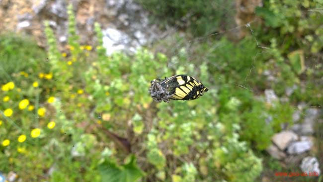 WP_20140423_15_27_42_Pro