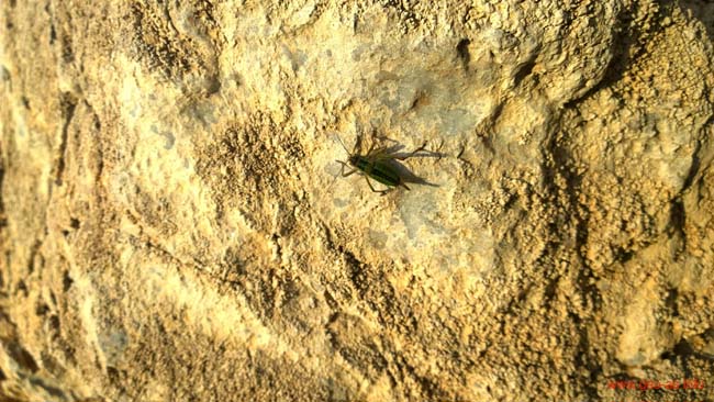 WP_20140425_19_05_44_Pro