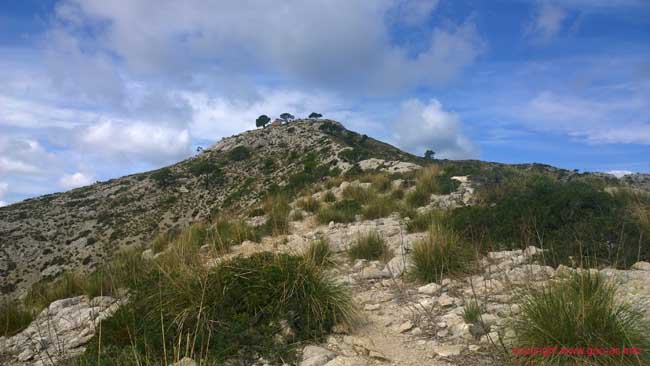 WP_20150927_12_21_18_Pro